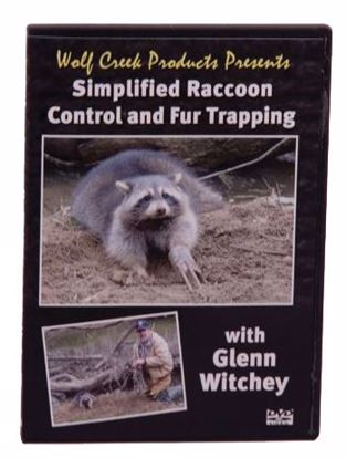 Picture of DVD - RACCOON